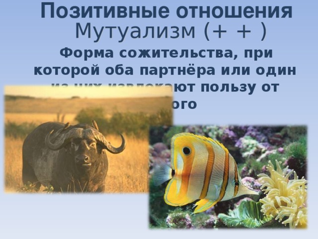 Позитивные отношения  Форма сожительства, при которой оба партнёра или один из них извлекают пользу от другого 