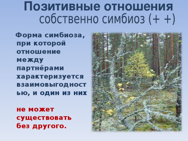 Позитивные отношения  Форма симбиоза, при которой отношение между партнёрами характеризуется взаимовыгодностью, и один из них  не может существовать без другого. 