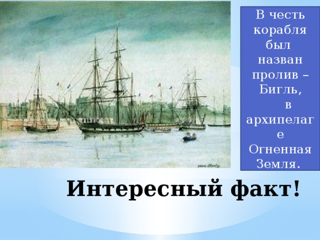 Котов корабль в честь кого назван. Пролив Бигль. Кругосветное путешествие Дарвина на корабле Бигль. Бигль корабль презентация. Корабль Бигль модели.