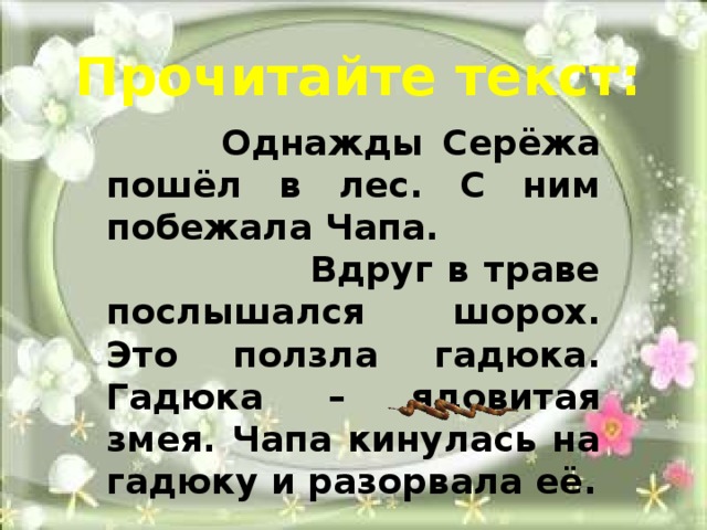 Прочитайте текст:  Однажды Серёжа пошёл в лес. С ним побежала Чапа. Вдруг в траве послышался шорох. Это ползла гадюка. Гадюка – ядовитая змея. Чапа кинулась на гадюку и разорвала её. 