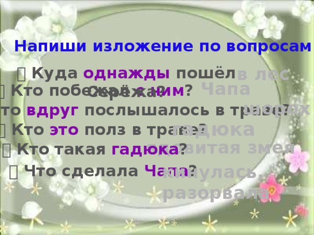 Напиши изложение по вопросам.   Куда однажды пошёл Серёжа? в лес    Кто побежал с ним ? Чапа шорох   Что вдруг послышалось в траве? гадюка   Кто это полз в траве? ядовитая змея   Кто такая гадюка ?   Что сделала Чапа ? кинулась,  разорвала 