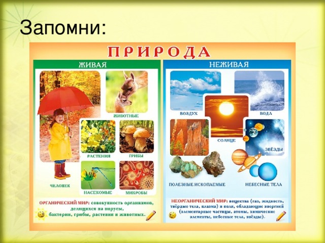 Запомни: 