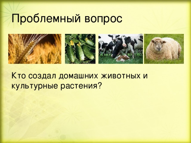 Проблемный вопрос Кто создал домашних животных и культурные растения? 