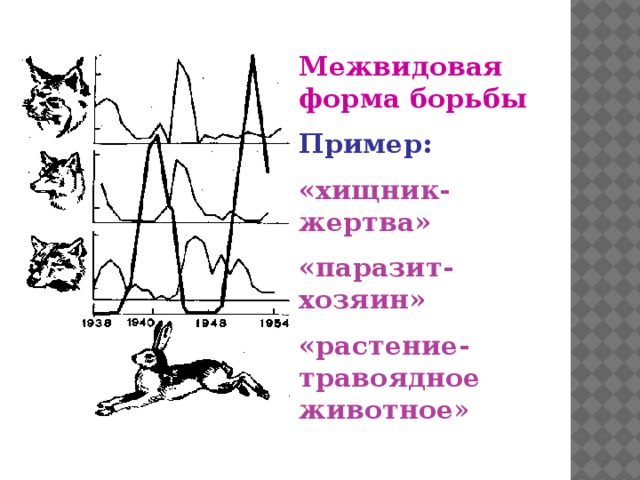 ТИПЫ ЭКОЛОГИЧЕСКИХ ВЗАИМОДЕЙСТВИЙ Сливинский С. Лохматов Ю. - скачать презентаци