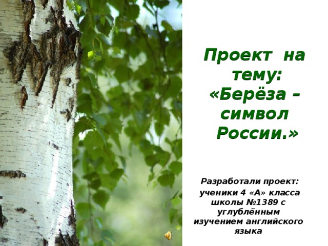 Березка 4 класс. Береза символ России. Проект береза символ России. Проект на тему береза. Береза символ.