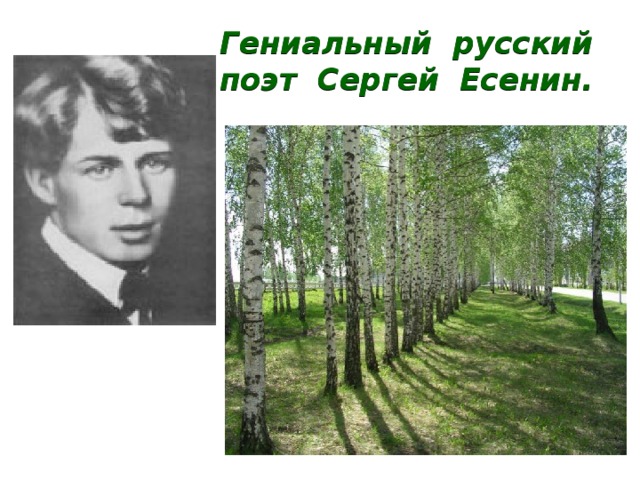 Гениальный русский поэт Сергей Есенин. 