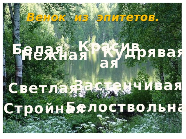 Венок из эпитетов. Красивая Белая Кудрявая Нежная Застенчивая Светлая Белоствольная Стройная 