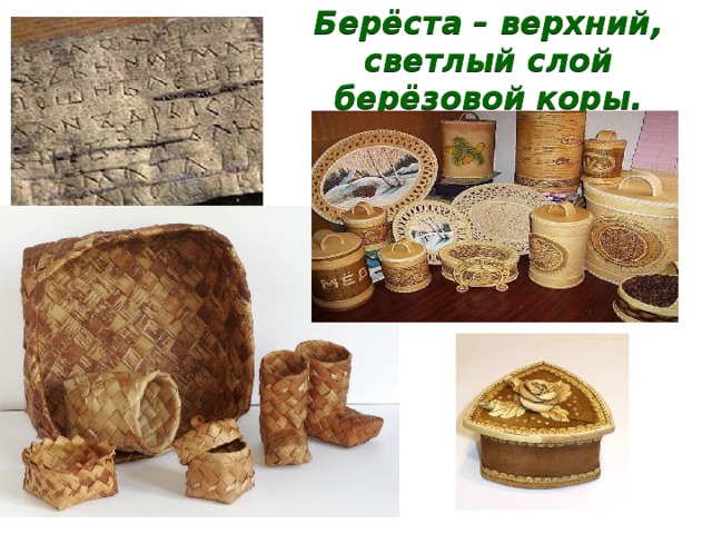 Берёста – верхний, светлый слой берёзовой коры. 