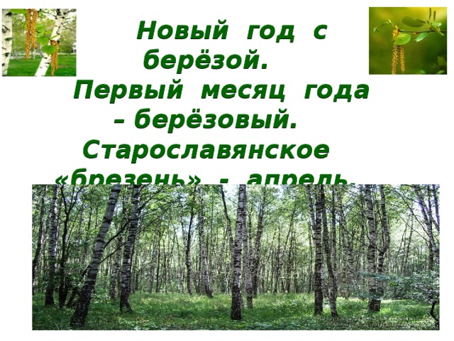  Новый год с берёзой.   Первый месяц года – берёзовый.  Старославянское «брезень» - апрель. 
