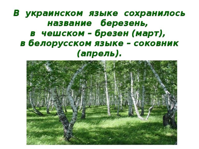 В украинском языке сохранилось название березень,  в чешском – брезен (март),  в белорусском языке – соковник (апрель). 