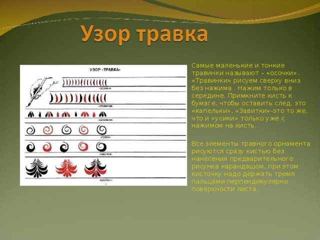 Самые маленькие и тонкие травинки называют – «осочки». «Травинки» рисуем сверху вниз без нажима . Нажим только в середине. Примкните кисть к бумаге, чтобы оставить след, это «капельки». «Завитки»-это то же, что и «усики» только уже с нажимом на кисть. Все элементы травного орнамента рисуются сразу кистью без нанесения предварительного рисунка карандашом, при этом кисточку надо держать тремя пальцами перпендикулярно поверхности листа. 