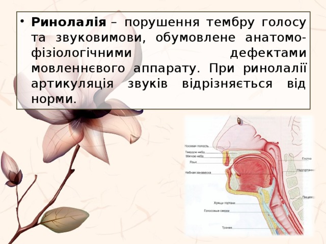 Ринолалія  – порушення тембру голосу та звуковимови, обумовлене анатомо-фізіологічними дефектами мовленнєвого аппарату. При ринолалії артикуляція звуків відрізняється від норми. 