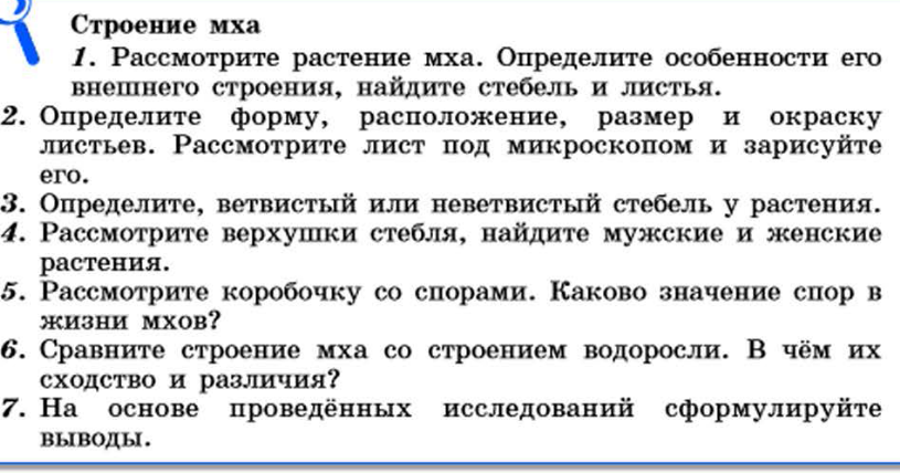 Из каких исходных клеток образуются листья мха