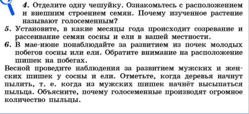 Какие почки имеют зачатки соцветий