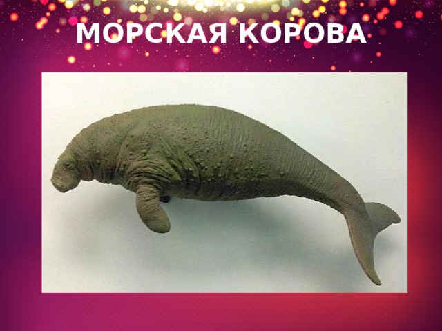 МОРСКАЯ КОРОВА 