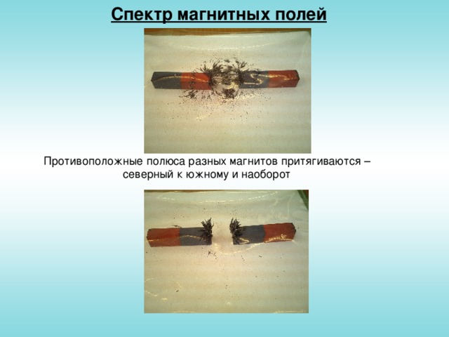 Спектр магнитных полей Противоположные полюса разных магнитов притягиваются – северный к южному и наоборот