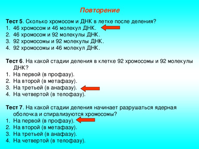 Повторение Тест 5 . Сколько хромосом и ДНК в летке после деления? 46 хромосом и 46 молекул ДНК. 46 хромосом и 92 молекулы ДНК. 92 хромосомы и 92 молекулы ДНК. 92 хромосомы и 46 молекул ДНК. Тест 6 . На какой стадии деления в клетке 92 хромосомы и 92 молекулы ДНК? На первой (в профазу). На второй (в метафазу). На третьей (в анафазу). На четвертой (в телофазу). Тест 7 . На какой стадии деления начинает разрушаться ядерная оболочка и спирализуются хромосомы?