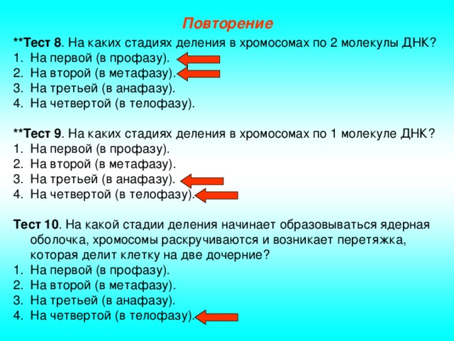 Повторение **Тест 8 . На каких стадиях деления в хромосомах по 2 молекулы ДНК? На первой (в профазу). На второй (в метафазу). На третьей (в анафазу). На четвертой (в телофазу). **Тест 9 . На каких стадиях деления в хромосомах по 1 молекуле ДНК? На первой (в профазу). На второй (в метафазу). На третьей (в анафазу). На четвертой (в телофазу). Тест 10 . На какой стадии деления начинает образовываться ядерная оболочка, хромосомы раскручиваются и возникает перетяжка, которая делит клетку на две дочерние?