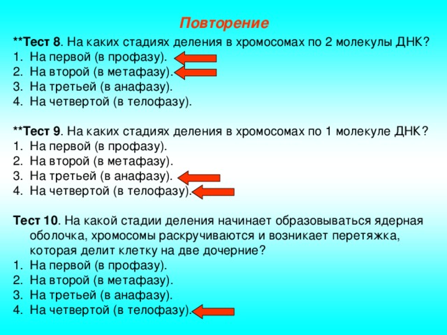 Тест повторение 9 класс. На каких стадиях деления в хромосомах по две молекулы ДНК. Деление молекул ДНК В анафазе. На каком этапе деления молекула ДНК удваивается. Тип деления стадии деление количество хромосом и молекул ДНК список.