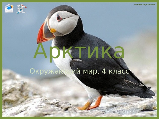 Арктика Окружающий мир, 4 класс 
