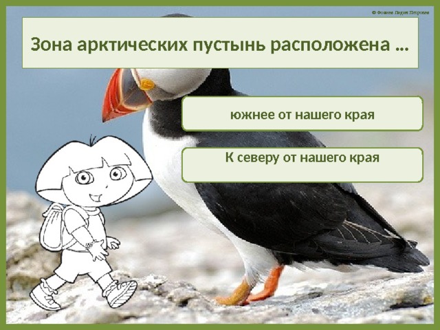 Зона арктических пустынь расположена … южнее от нашего края К северу от нашего края  