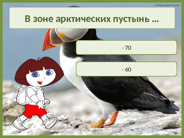 В зоне арктических пустынь … - 70  - 60  