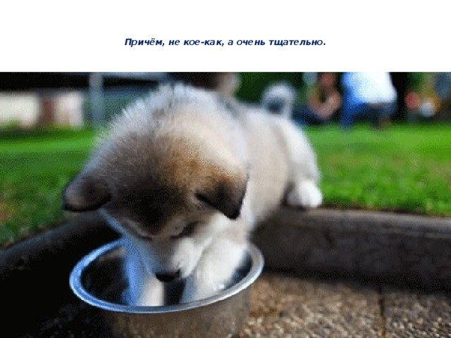 Причём, не кое-как, а очень тщательно.