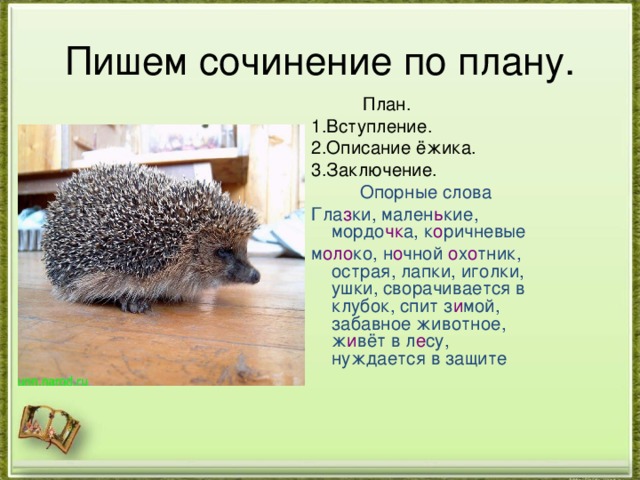 Пишем сочинение по плану.  План. 1.Вступление. 2.Описание ёжика. 3.Заключение. Опорные слова Гла з ки, мален ь кие, мордо чк а, к о ричневые м оло ко, н о чной о х о тник, острая, лапки, иголки, ушки, сворачивается в клубок, спит з и мой, забавное животное, ж и вёт в л е су, нуждается в защите 