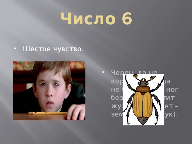 Число 6 Черен, да не ворон. Рогат, да не бык. Шесть ног без копыт. Летит жужжит, упадет – землю роет (жук). Шестое чувство. 