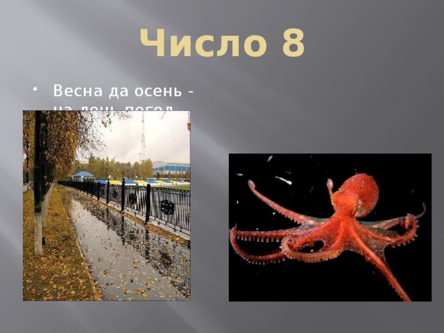 Число 8 Весна да осень - на день погод восемь. Ты со мною не знаком? Я живу на дне морском. Голова и 8 ног, вот и весь я - ….(осьминог). 