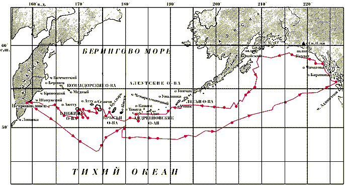 Карта колумба истинная карта земли