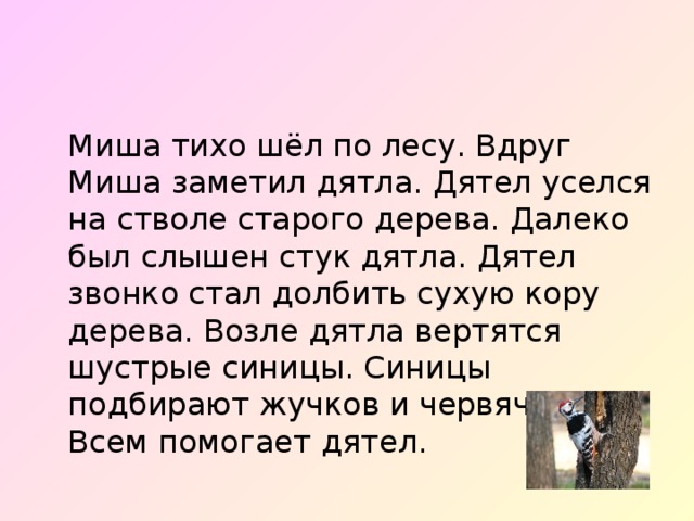  Миша тихо шёл по лесу. Вдруг Миша заметил дятла. Дятел уселся на стволе старого дерева. Далеко был слышен стук дятла. Дятел звонко стал долбить сухую кору дерева. Возле дятла вертятся шустрые синицы. Синицы подбирают жучков и червячков. Всем помогает дятел. 