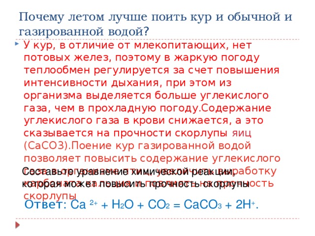 Сообщение химический характер житейских ситуаций уравнения химических реакций встречающихся в быту