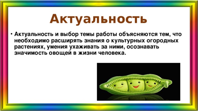 Актуальность Актуальность и выбор темы работы объясняются тем, что необходимо расширять знания о культурных огородных растениях, умения ухаживать за ними, осознавать значимость овощей в жизни человека. 