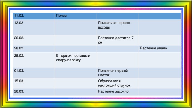 11.02. Полив 12.02 26.02. Появились первые всходы 28.02. Растение достигло 7 см 29.02. 01.03. В горшок поставили опору-палочку Растение упало 15.03. Появился первый цветок 26.03. Образовался настоящий стручок Растение засохло 