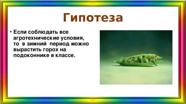 Гипотеза Если соблюдать все агротехнические условия, то в зимний период можно вырастить горох на подоконнике в классе. 