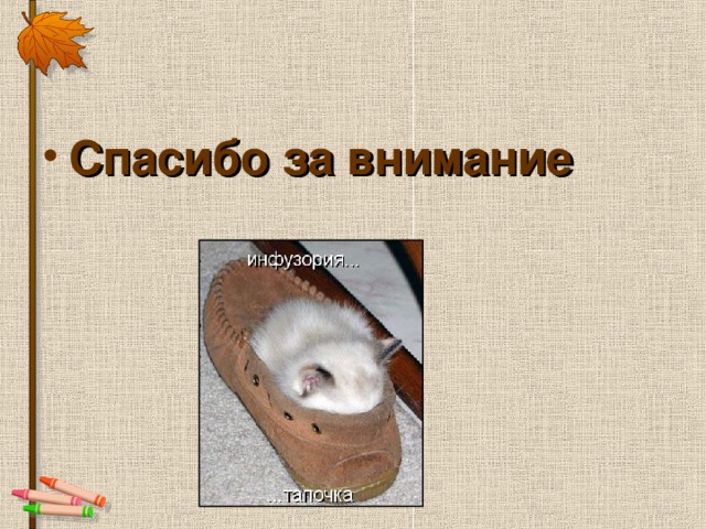 Спасибо за внимание 
