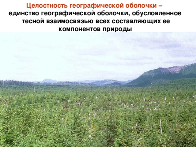 Целостность географической оболочки – единство географической оболочки, обусловленное  тесной взаимосвязью всех составляющих ее  компонентов природы  