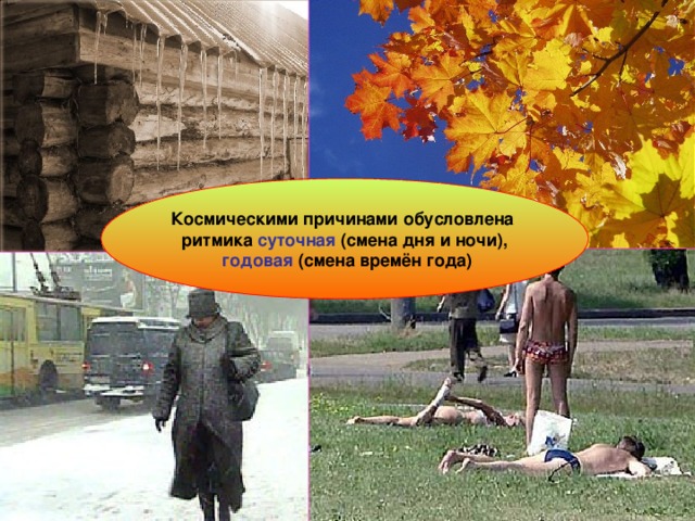 Космическими причинами обусловлена ритмика суточная (смена дня и ночи),  годовая (смена времён года) 