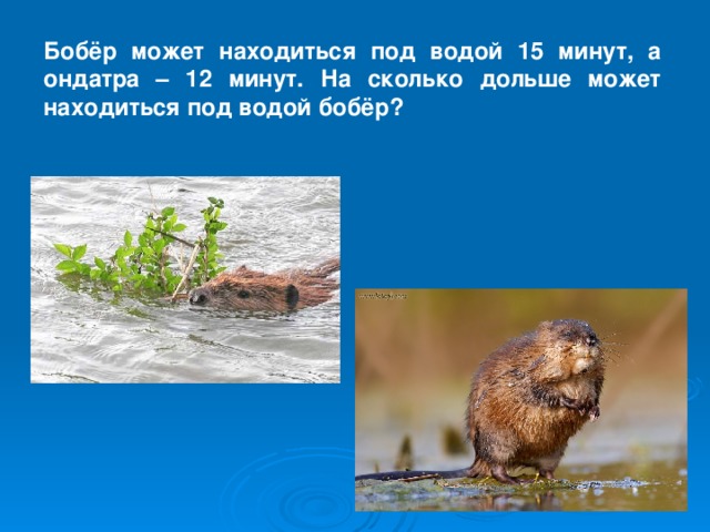 Бобёр может находиться под водой 15 минут, а ондатра – 12 минут. На сколько дольше может находиться под водой бобёр? 