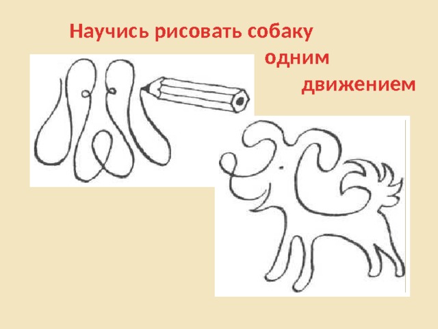 Научись рисовать собаку  одним  движением 