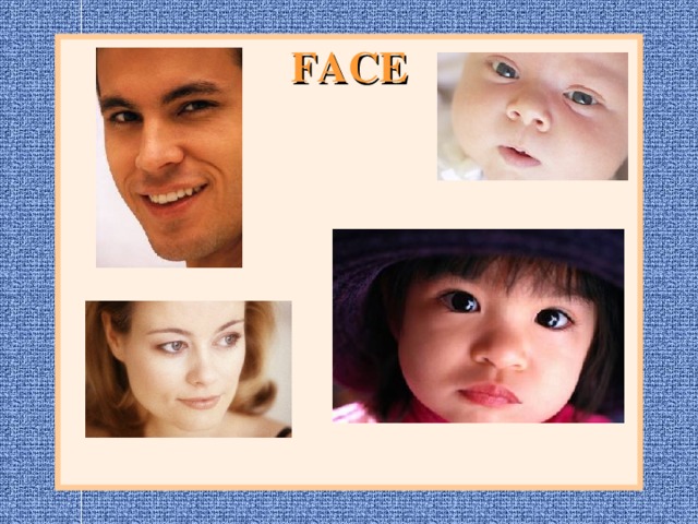FACE 