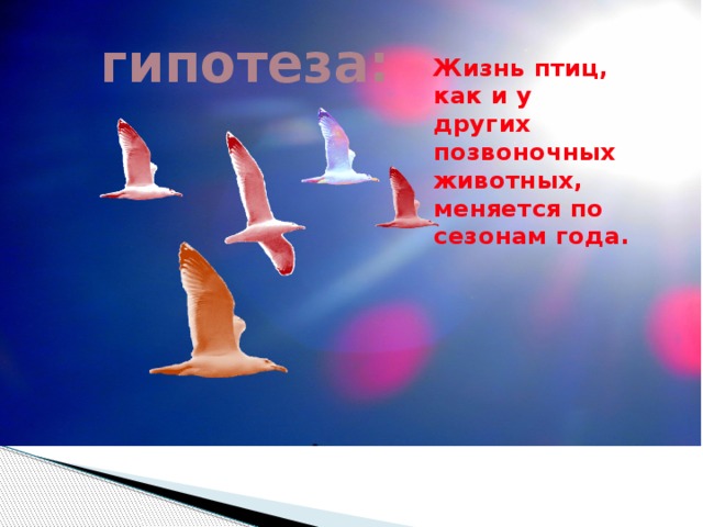 Презентация по теме годовой жизненный цикл и сезонные явления в жизни птиц
