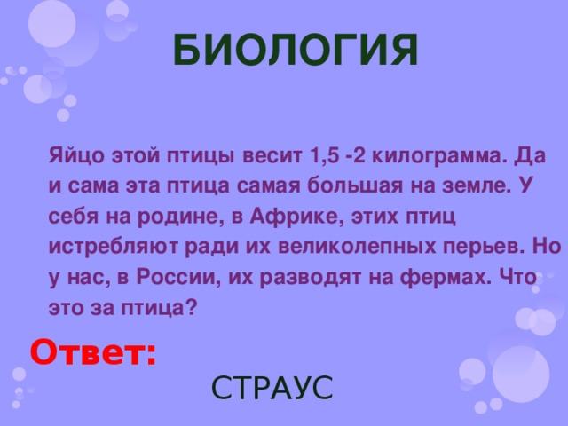 БИОЛОГИЯ Яйцо этой птицы весит 1,5 -2 килограмма. Да и сама эта птица самая большая на земле. У себя на родине, в Африке, этих птиц истребляют ради их великолепных перьев. Но у нас, в России, их разводят на фермах. Что это за птица? Ответ: СТРАУС 