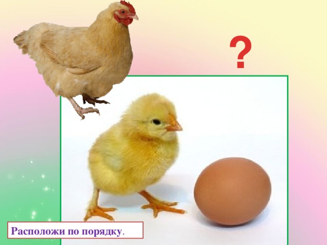 ? Расположи по порядку . 