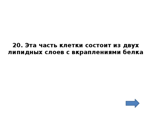 20. Эта часть клетки состоит из двух липидных слоев с вкраплениями белка 