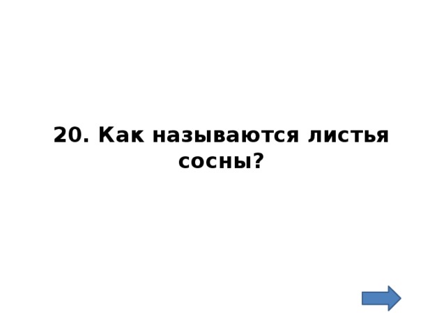 20. Как называются листья сосны? 