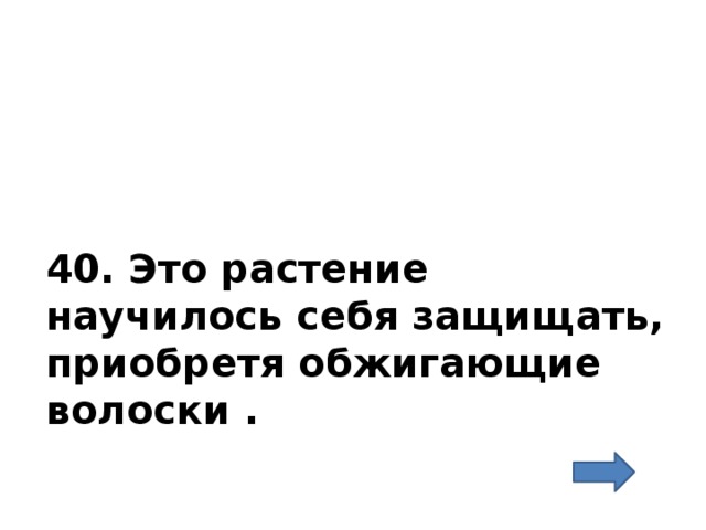 40. Это растение научилось себя защищать, приобретя обжигающие волоски . 