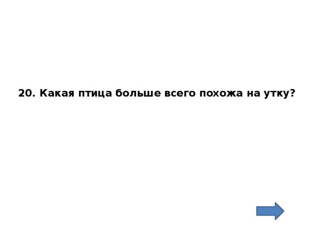 20. Какая птица больше всего похожа на утку?   