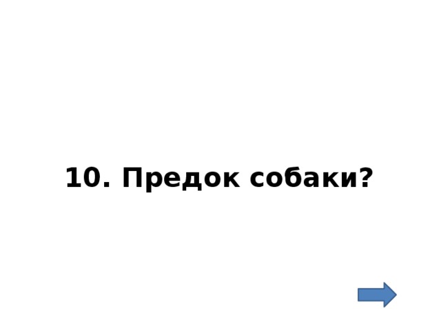 10. Предок собаки? 